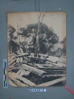 巒大山運材滑道之景藏品圖，第2張